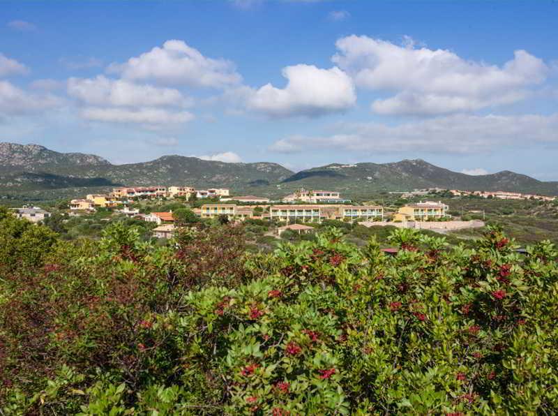 Club Hotel Baia Aranzos Golfo Aranci Buitenkant foto